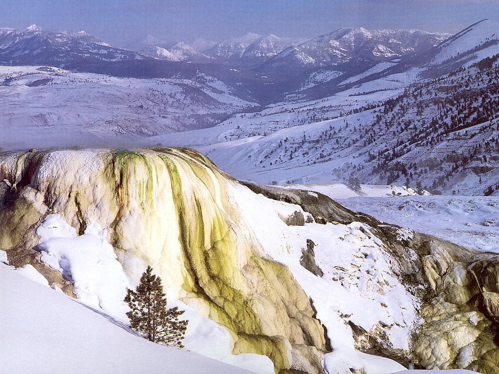 Previsualizacin del fondo